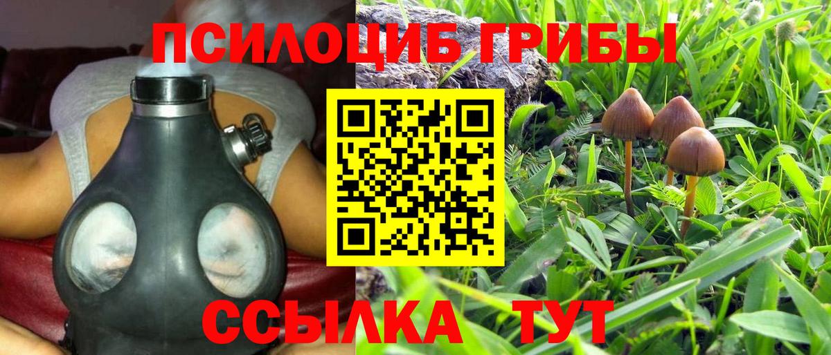 Галлюциногенные грибы Psilocybine cubensis  Галлюциногенные грибы ЛСД  Моршанск  Вход с VPN 