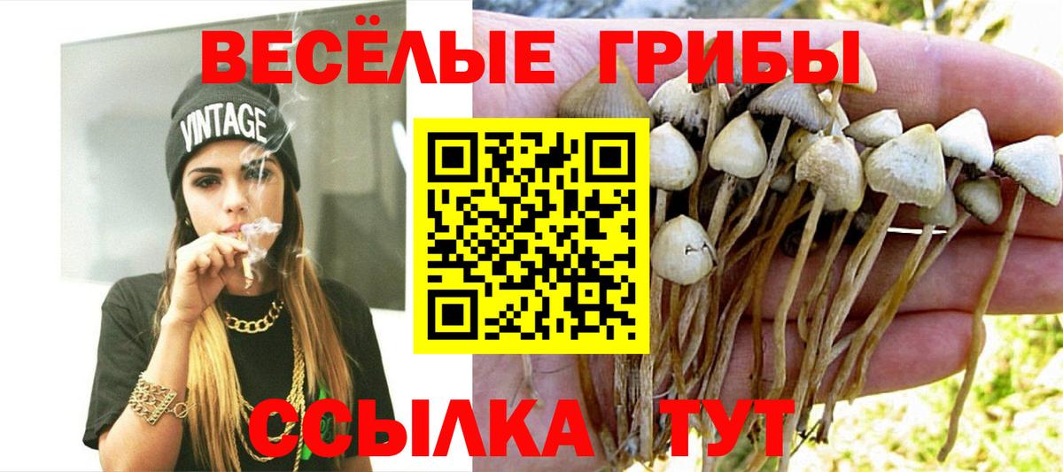 Псилоцибиновые грибы Magic Shrooms Моршанск